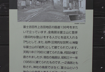 Kanadorii第 11 张图片