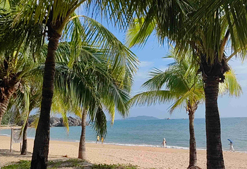 天涯海角第 280 张图片