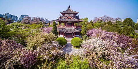 青龙寺第 10 张图片