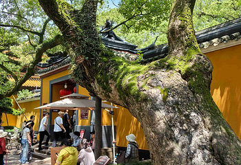 普陀山风景区第 179 张图片