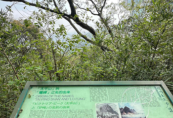 太平山顶第 284 张图片
