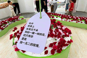 上海奇迹花园第 134 张图片