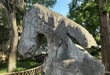 朱家角古镇景区第 155 张图片