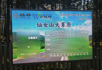 仙女山国家森林公园第 108 张图片