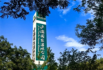 西安浐灞国家湿地公园第 51 张图片