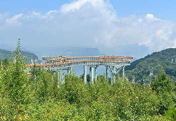 王莽岭风景区第 14 张图片