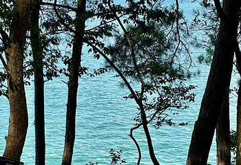 千岛湖景区第 181 张图片