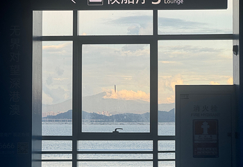 招商蛇口邮轮母港游览第 32 张图片