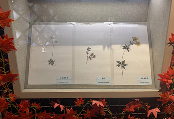 长白山自然博物馆第 34 张图片
