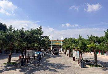 席力图召第 60 张图片