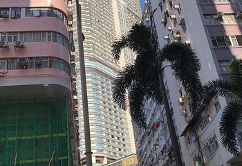 香港K11 MUSEA第 159 张图片