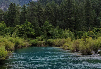 九寨沟风景区第 636 张图片
