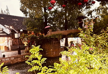 朱家角古镇景区第 255 张图片