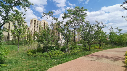 宣威市地景公园第 1 张图片