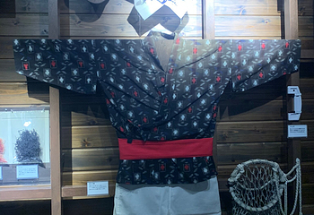 仙台海洋森林水族馆第 23 张图片