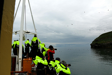 Salka Whale Watching第 12 张图片