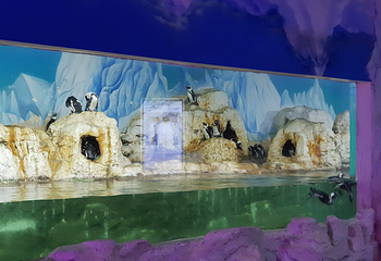河内时代之城水族馆第 2 张图片