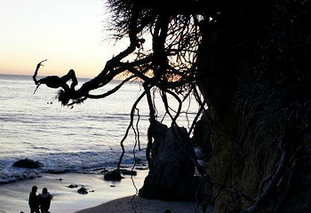 El Pescador State Beach第 10 张图片