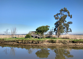 Lancha Praia da Costa Nova