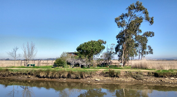 Lancha Praia da Costa Nova