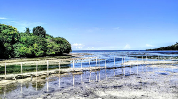 Lugutan Mangrove Park
