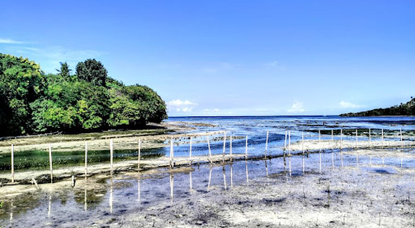 Lugutan Mangrove Park