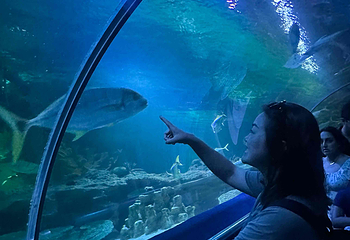 吉隆坡城中城水族馆第 39 张图片