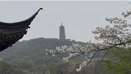 香山景区第 61 张图片