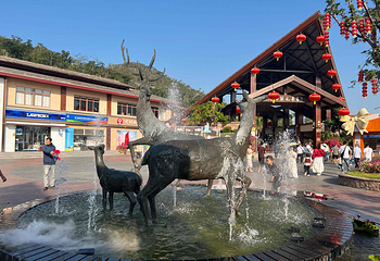 鹿回头风景区第 95 张图片