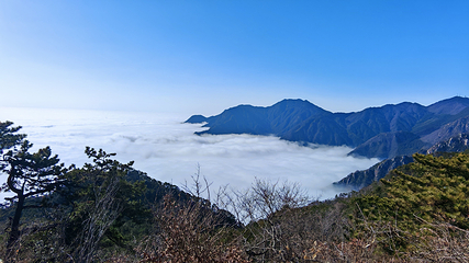 庐山风景名胜区第 83 张图片
