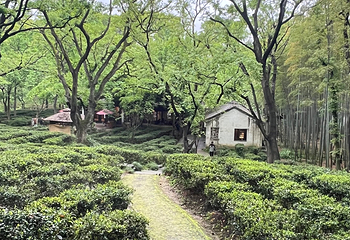 虎丘山风景名胜区第 184 张图片