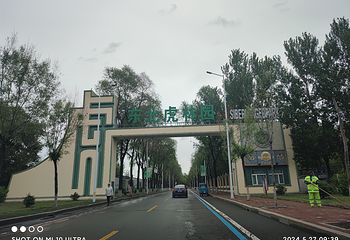 东北虎林园第 269 张图片