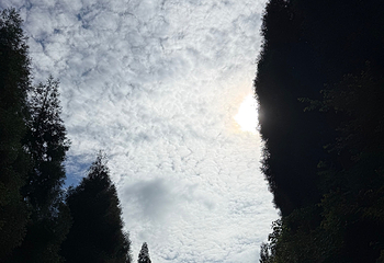 四姑娘山景区第 247 张图片