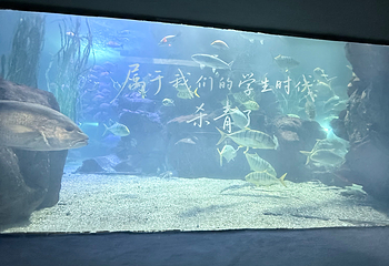 青岛海底世界第 235 张图片