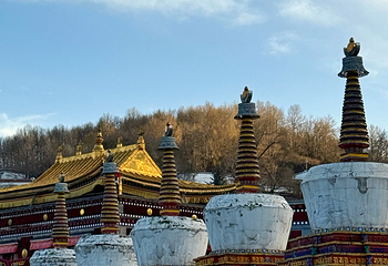 塔尔寺第 121 张图片