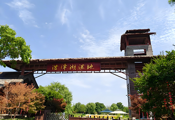 泗洪洪泽湖湿地景区第 54 张图片