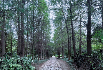 东太湖生态旅游度假区第 33 张图片