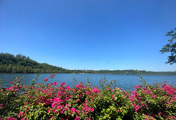 湖光岩风景区第 34 张图片