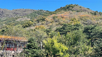 蟒山国家森林公园-红叶区