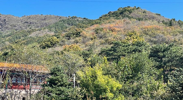 蟒山国家森林公园-红叶区