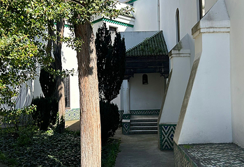 巴黎大清真寺第 17 张图片