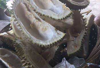 宝盛园榴莲庄园第 16 张图片