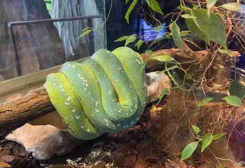 热那亚水族馆第 10 张图片