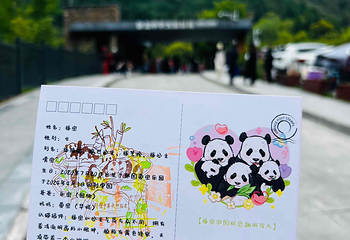 卧龙中华大熊猫苑神树坪基地第 44 张图片