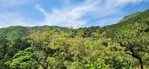 香山公园第 27 张图片
