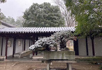 虎丘山风景名胜区第 125 张图片