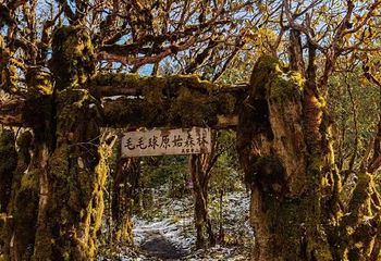 高黎贡山第 6 张图片
