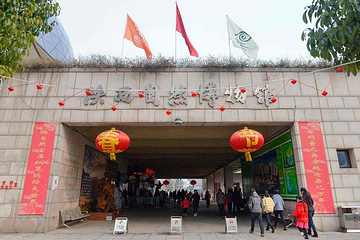陕西自然博物馆第 27 张图片