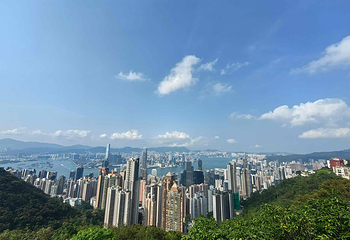 太平山顶第 124 张图片