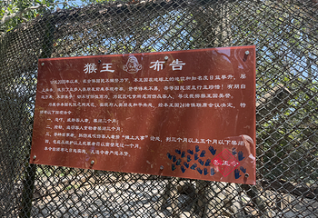 南湾猴岛生态旅游区第 106 张图片
